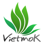 cropped-VietmoK-FAVICON